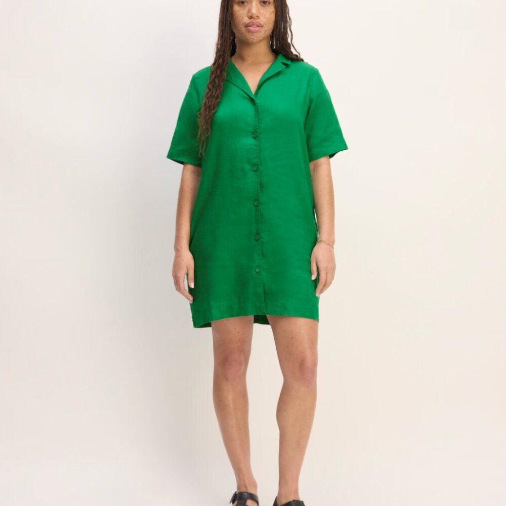 Everlane The Shirt dress in Linen